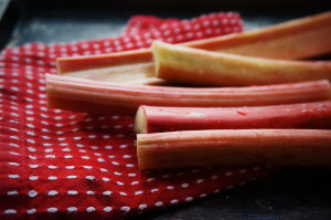 Rhubarb by Suitcase Foodist